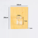 5Pieces Wall Hanging Colorful Wooden Board Glass Pudding Flower Vase Terrarium Container