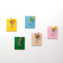 5Pieces Wall Hanging Colorful Wooden Board Glass Pudding Flower Vase Terrarium Container