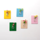 5Pieces Wall Hanging Colorful Wooden Board Glass Pudding Flower Vase Terrarium Container