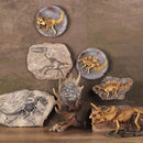 Resin Dinosaur Bone Model Replica Statue Home Wall Plaque Sculpture Figurine