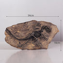Resin Dinosaur Bone Model Replica Statue Home Wall Plaque Sculpture Figurine