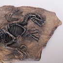 Resin Dinosaur Bone Model Replica Statue Home Wall Plaque Sculpture Figurine