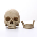 Lifesize 1:1 Resin Skull Statue Figurine Human Skeleton Head Home Bar Decor
