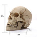Lifesize 1:1 Resin Skull Statue Figurine Human Skeleton Head Home Bar Decor