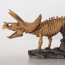 Resin Dinosaur Skeleton Triceratops Model Figure Home Decorative Figurine