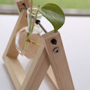 Home Floral Landscape Glass Bottle Terrarium Flower Vase with Wooden Base