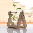Home Floral Landscape Glass Bottle Terrarium Flower Vase with Wooden Base
