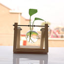 Home Floral Landscape Glass Bottle Terrarium Flower Vase with Wooden Base