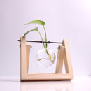 Home Floral Landscape Glass Bottle Terrarium Flower Vase with Wooden Base