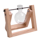 Home Floral Landscape Glass Bottle Terrarium Flower Vase with Wooden Base