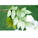 140cm Artificial Wall Hanging Vine Simulation Wisteria Flower Decor White