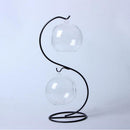 2 Globular Glass Vase Flower Pot DIY Terrarium Container with S Metal Stand