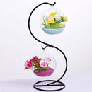 2 Globular Glass Vase Flower Pot DIY Terrarium Container with S Metal Stand