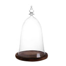 Bell-shaped Glass Cover Vase Micro-Landscape Bottle Terrarium Container Tray
