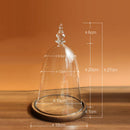 Bell-shaped Glass Cover Vase Micro-Landscape Bottle Terrarium Container Tray