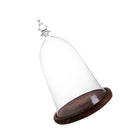 Bell-shaped Glass Cover Vase Micro-Landscape Bottle Terrarium Container Tray