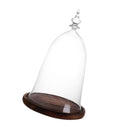 Bell-shaped Glass Cover Vase Micro-Landscape Bottle Terrarium Container Tray
