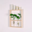 Wall Hanging Clear Glass Test Tube Flower Vase Plant Hydroponic Pot in Wooden Stand for Home Cafe Decoration
