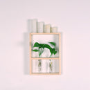 Wall Hanging Clear Glass Test Tube Flower Vase Plant Hydroponic Pot in Wooden Stand for Home Cafe Decoration