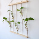 1 Set Hanging Decor Clear Glass Flower Vase Foliage Plant Display Terrarium Bottle Home Art Decor Ornaments