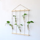 1 Set Hanging Decor Clear Glass Flower Vase Foliage Plant Display Terrarium Bottle Home Art Decor Ornaments