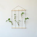 1 Set Hanging Decor Clear Glass Flower Vase Foliage Plant Display Terrarium Bottle Home Art Decor Ornaments