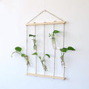 1 Set Hanging Decor Clear Glass Flower Vase Foliage Plant Display Terrarium Bottle Home Art Decor Ornaments