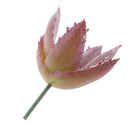 Realistic Artificial Succulent DIY Foliage Decorative Faux Cactus Plant