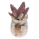 Realistic Artificial Succulent DIY Foliage Decorative Faux Cactus Plant