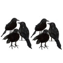 6 Pieces Black Feathered Small Crows Birds Ravens for Halloween Decoration