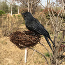 6 Pieces Black Feathered Small Crows Birds Ravens for Halloween Decoration