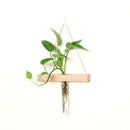 Creative Wall Hanging Clear Glass Vase Flower Planter Bottle Tube Pot Terrarium Decor