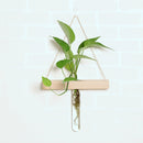 Creative Wall Hanging Clear Glass Vase Flower Planter Bottle Tube Pot Terrarium Decor