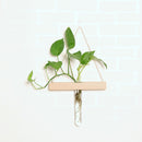 Creative Wall Hanging Clear Glass Vase Flower Planter Bottle Tube Pot Terrarium Decor