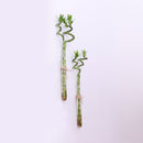 Crystal Glass 4 Test Tubes Flower Planter Vase Hydroponic Pots Office Home Wall Art Hanging Floral Decoration