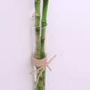 Crystal Glass 4 Test Tubes Flower Planter Vase Hydroponic Pots Office Home Wall Art Hanging Floral Decoration