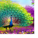 DIY 5D Diamond Embroidery Painting Cross Stitch Kit Painting Craft -Peacock