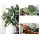 Single Branch Artificial Eucalyptus Leaves Silk Simulation Leaves Home Decor