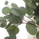 Single Branch Artificial Flower Green Silk Eucalyptus Leaves Flower Supplies