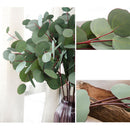 Single Branch Artificial Flower Green Silk Eucalyptus Leaves Flower Supplies