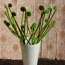 Single Branch Artificial Flowers Green Vine Rolls Stems Flower Supplies