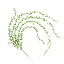 Artificial Hanging String of Pearls Plants, Party Wedding Decoration Vine Plants (82cm Length)