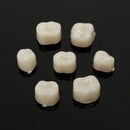2 packs Dental Temporary Crown Material for Anterior + Molar Teeth Veneers