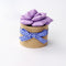 Wool Poke Green Potted Plants DIY Decoration Raw Material Kit For Home