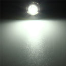 P13.5S LED Flashlight Replacement Bulb 0.5W 100LM Torch Work Light Lamp DC 3V 4.5V 6V