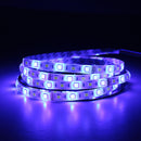 DC12V 5M SMD5050 RGBW Non-Waterproof Smart Wifi Alexa Phone APP Control LED Strip Lights Kit