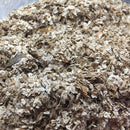 Egrow 200Pcs/Pack Paulownia Seeds Garden Potted Rare Paulownia Plants Seed