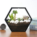 Handmade Acrylic Chlorophytum Flower Pot Scindapsus Hexagon Hanging Wall Decoration