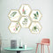 Miico FX82021 2PCS Plant Photo Frame Decorative Sticker Home Decorative Wall Sticker Removable Sticker
