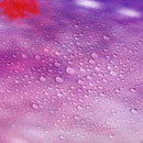 Starry Sky Printed Bathroom Polyester Shower Curtain Non Slip Toilet Cover Rugs Mat Set
